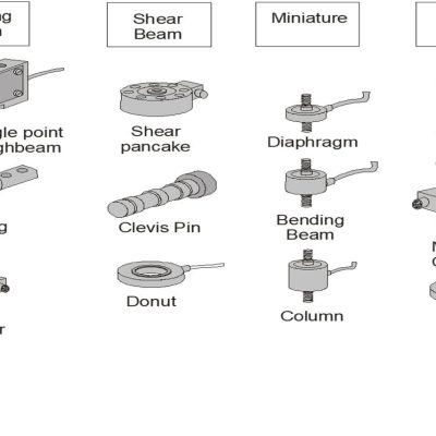 WhatsApp Image 2025-12-21 at 1.24.07 PM